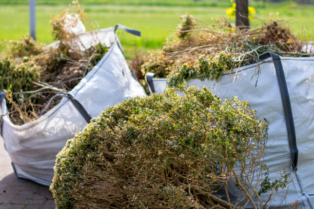 Best Dumpster Rental Services  in St James, MO